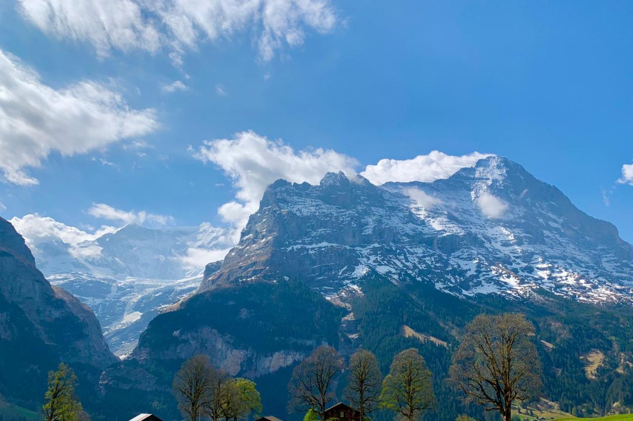 Eiger, Jungfrau, Luxury Garden Apartment Grindelwald Eksteriør billede
